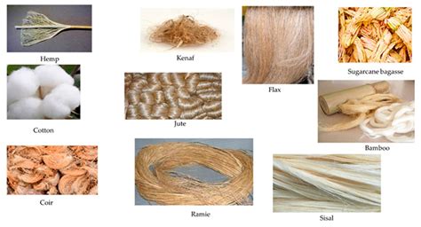 Jute: Uma Fibra Natural Multifacetada para Aplicações de Alta Resistência e Sustentabilidade!